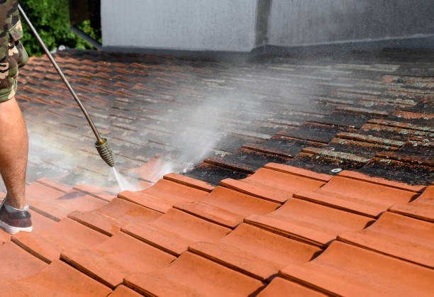 Best Best Pressure Washing Companies  in South Les, AK